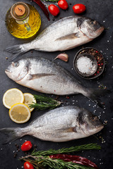 Raw dorado fish