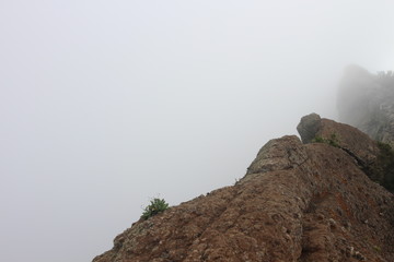 Anaga Rural Park / tenerife