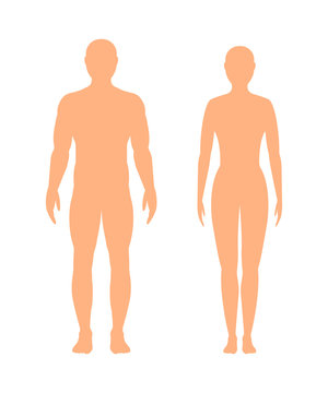 Male and female silhouette on white background, vector.