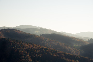 Sunset on a mountain in the black forest in germany