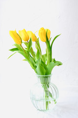 Bouquet of yellow in a vase on a white background, concept of Women's Day or Mother's Day or Easter in March or April. Spring mood, copy space.