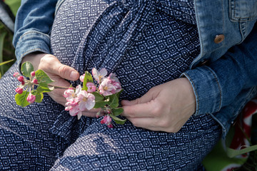 detail of pregnancy belly with spring blossom 
