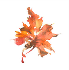 Naklejka premium Beautiful bright autumn leaf. Watercolor autumn leaf. Watercolor background.