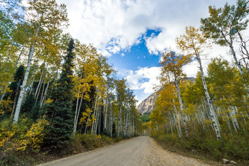 Fototapeta na wymiar Dirt road through colorful fall forest in the Colorado mountains