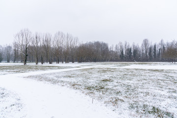 Empty Park on during a Heavy Snowfall on a Winter Morning