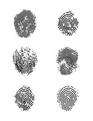 Fingerprint of the person.