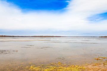    Beautiful winter landscape in countryside, lake surface in nature park Lonjsko polje, Croatia 