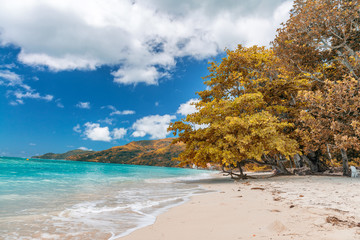 Amazing beach and vegetation in Seychelles. Autumn colors