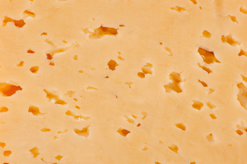 hard cheese close up