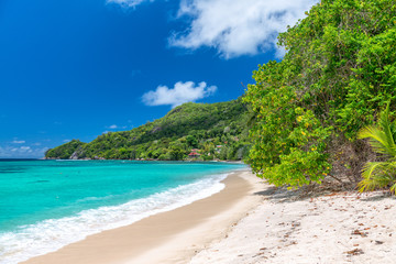 Fototapeta na wymiar Amazing beach and vegetation in Seychelles