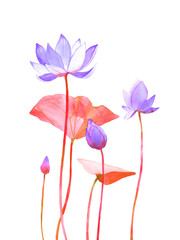 watercolor violet lotos illustration isolated on white background  - obrazy, fototapety, plakaty