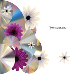 Flowers. Gerbera. Purple. White. Floral background. Daisies. Round frame. Metal. Ring. Disk.