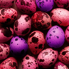 Top view of painted eggs.