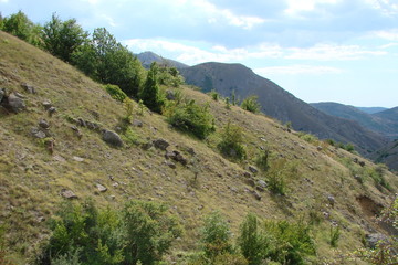 Fototapeta na wymiar the landscape of wild vegetation on the slopes of the Crimean mountains.