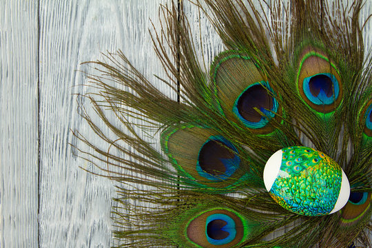 painted Easter egg on peacock feathers