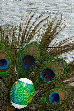 painted Easter egg on peacock feathers