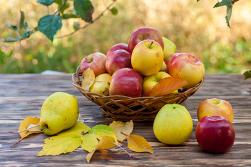 Apples in basket