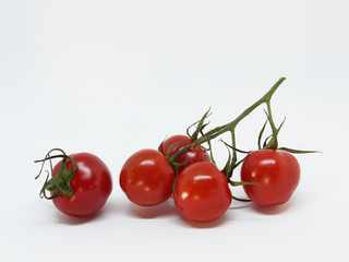 Knackige Tomaten an der Rispe auf weißem Hintergrund