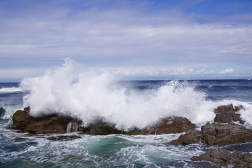 Naklejka premium wow, big wave!