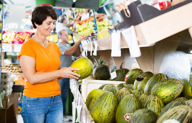 Fototapeta premium Female is choosing green melons
