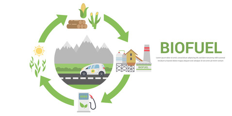 Biofuel Life Cycle, Biomass Ethanol From Corn, Sugarcane, Wood, Flat Design Vector Concept Illustration . Isolated on the White Background.