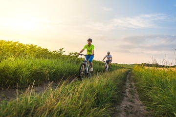 a woman and a man cycling in summer in the park on bicycles