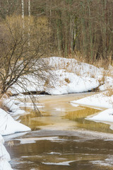 Early spring in the forest