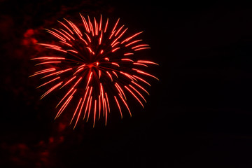 Red firework bloom