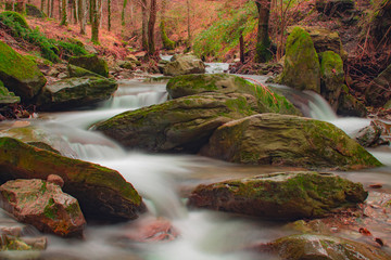 The river-Badia di Moscheta