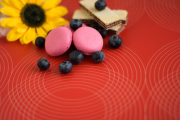 cookie macaroon with blueberries, waffles, and a yellow flower on a red