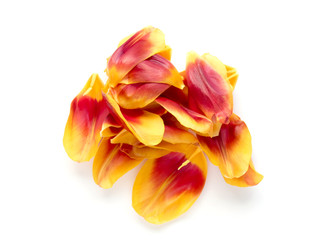bunch of red and yellow flower petals