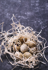 Obraz premium Quail eggs in nest