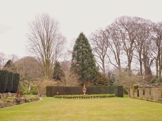 English Winter Garden 