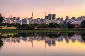 Fototapeta na wymiar Sao Paulo Brazil - Ibirapuera 
