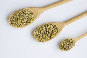 grains of barley in a spoon on a white background. Top view.