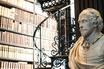 Bust in Library