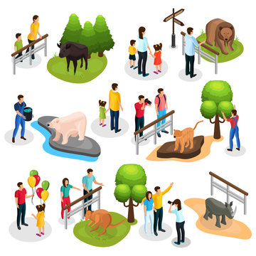 Isometric Zoo Elements Collection