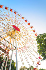 Fototapeta premium Ferris Wheel at Sunset in Amusement Park. Observation Wheel on Blue Sky Background Near Branches of Trees