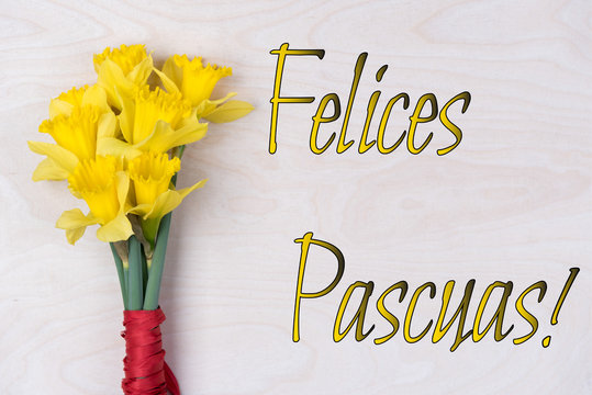 
inscription Felices Pascuas with fresh flowers, on a wooden background