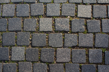 A squared granite walkway with moss and grass between the stones for a patterned background.