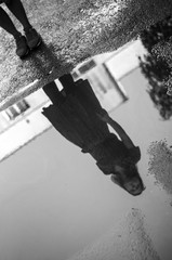 Silhouette of a Young Girl in a Dress Reflected in a Puddle on the Asphalt. Abstract Background of Summer Weather. Black and White Processing