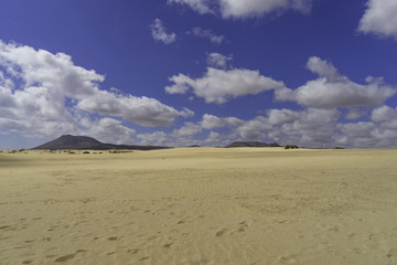 Fototapeta na wymiar Landscape Dunes Of Corralejo, Fuerteventura, Canary Islands, Spain.