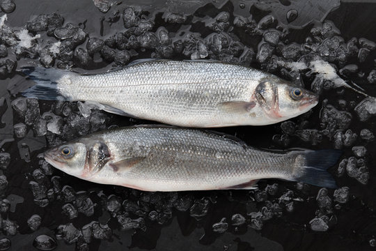 Two red seabass fish on ice on black stone background, top view