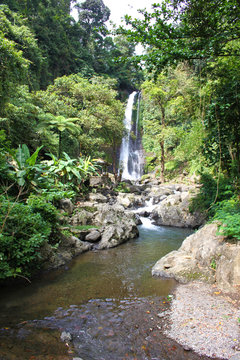Wasserfall, Bali, Indonesien, GitGit