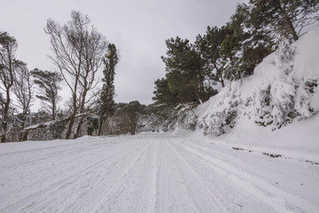 Snowy landscape