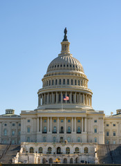 Obraz premium Capitol Building in Washington, DC