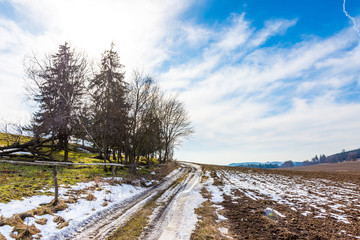 Landscape of agriculture field and meadow. Preparation for spring. Trees near the road, blue sky.