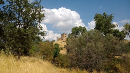 Obraz premium NATURALEZA