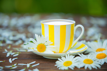 porcelainl cup with green tea on table