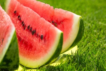 Pieces of Watermelon on a Plate on the Grass